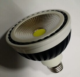LED PAR30 COB spotlight
